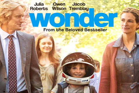 Wonder-cropped